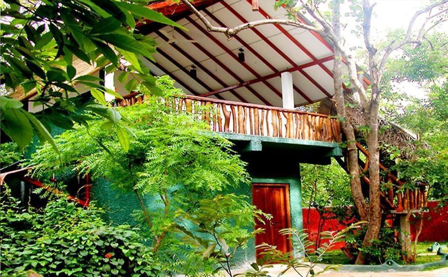 Sigiri Holiday Villa Сігірія Екстер'єр фото