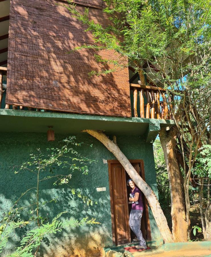 Sigiri Holiday Villa Сігірія Екстер'єр фото